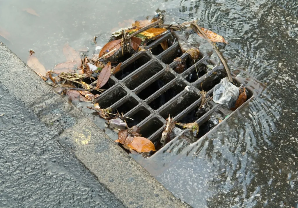 Blocked rainwater drain