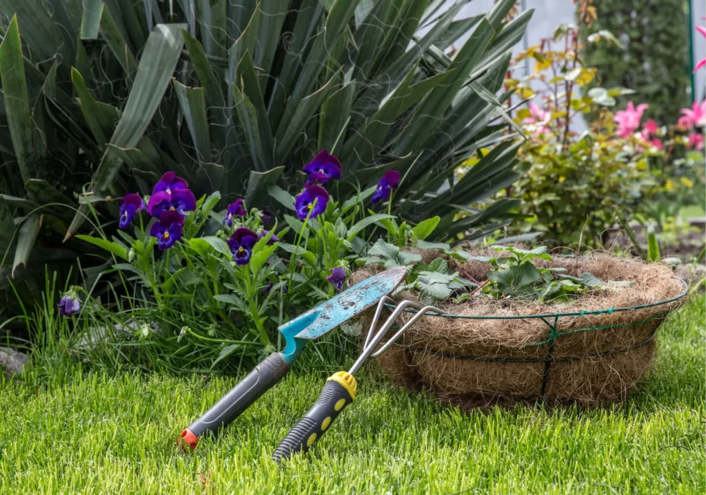 Close up of 2 garden tools resting in a garden
