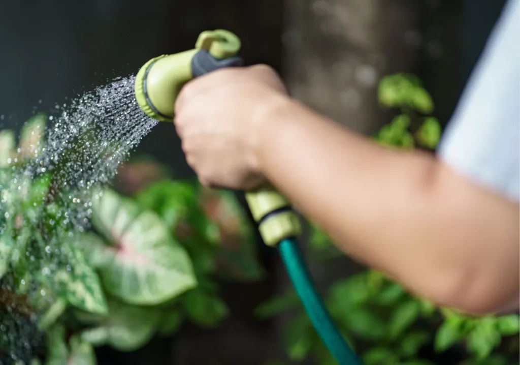 Close up of man's hand holding a spouting garden hose