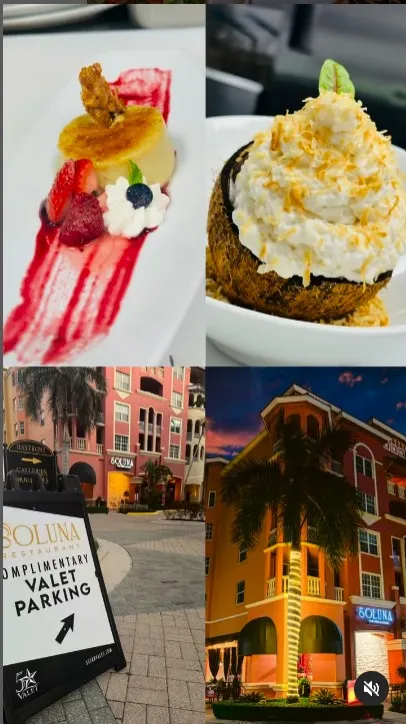 Collage of Soluna wine bottle, main meal, dessert and building