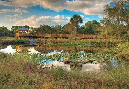 Conservancy of Naples, Naples