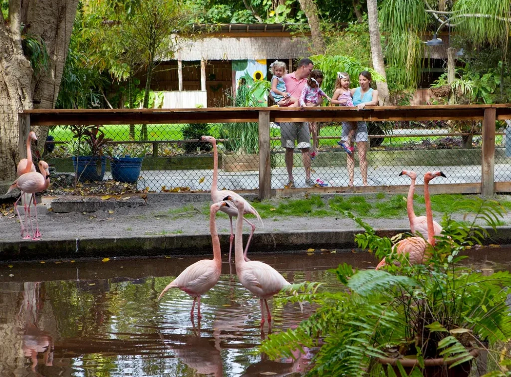Everglades Wonder Gardens, Naples