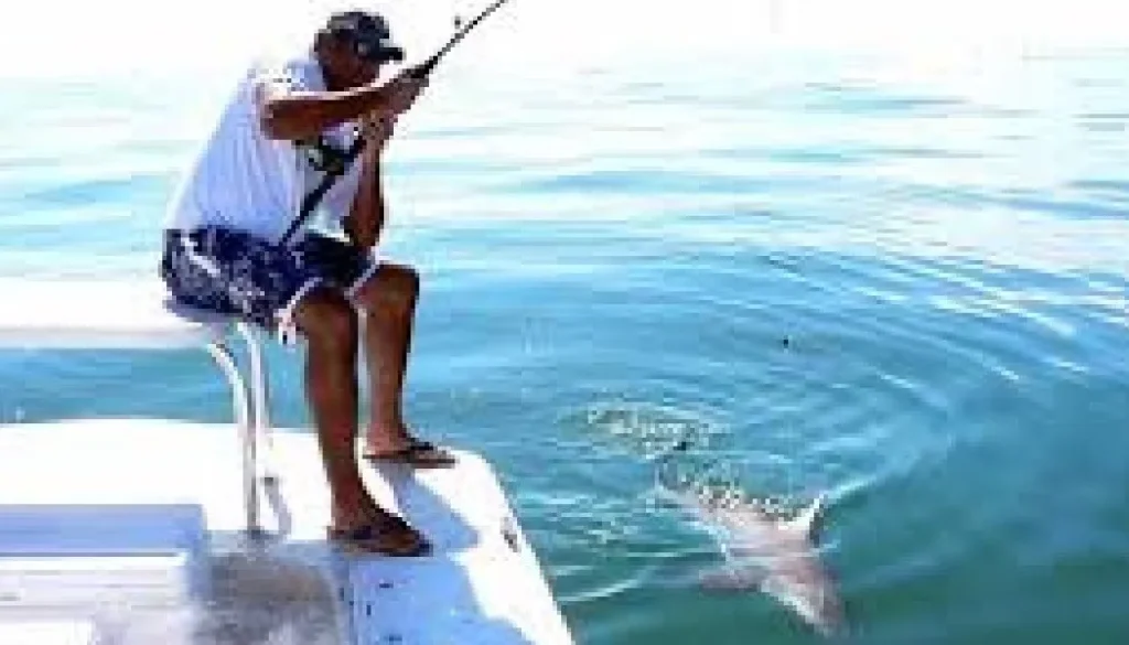 Fishing Charters, Naples