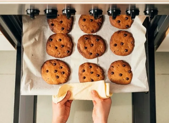 Freshly baked chocolate chip cookies coming out of the oven