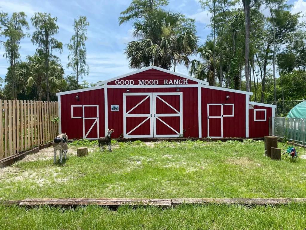 Equestrian homes in Naples