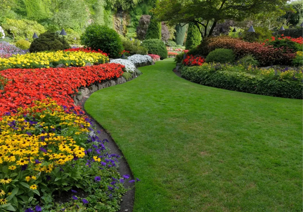 Maintained lawn with garden of multicolored blooming flower beds