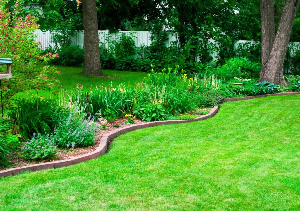 Meticulously landscaped lawn with hedges and bushes