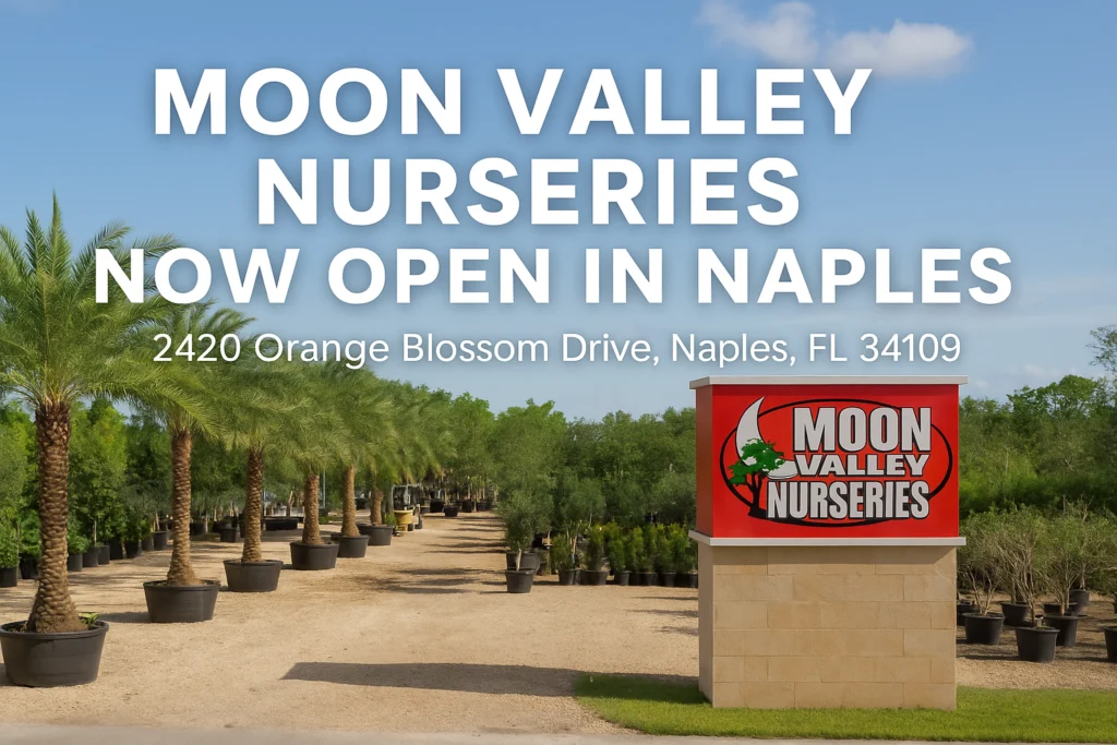 Moon Nursery image