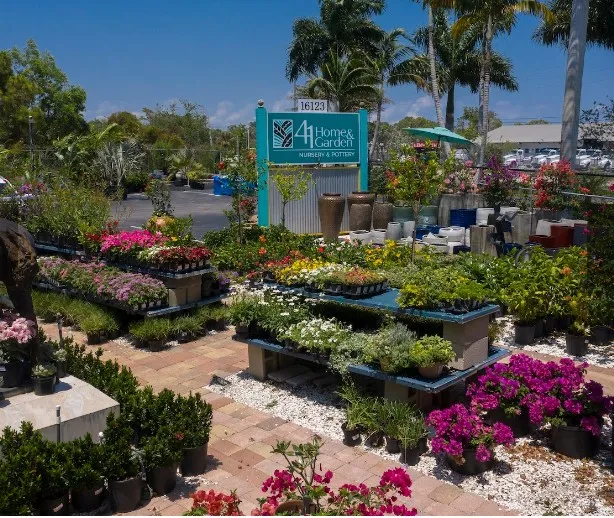 Outdoors at 41 Home & Garden