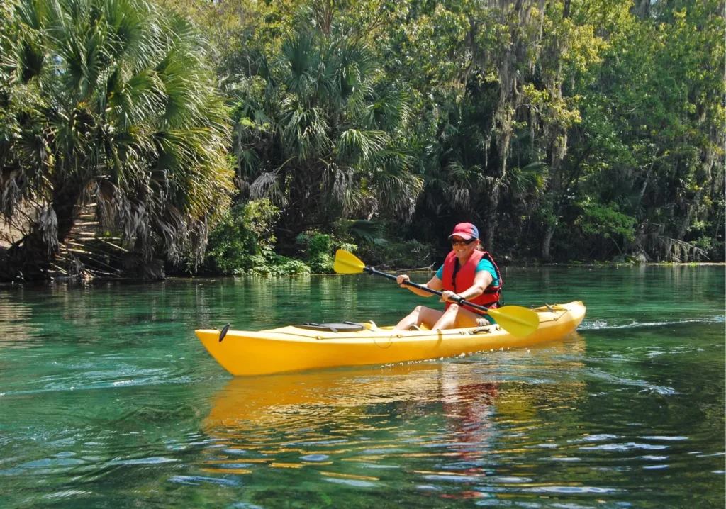 Person kayaking in mangroves