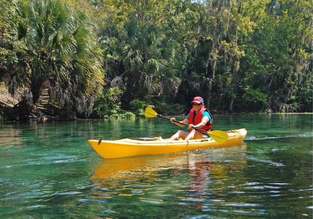 Person kayaking in the mangroves