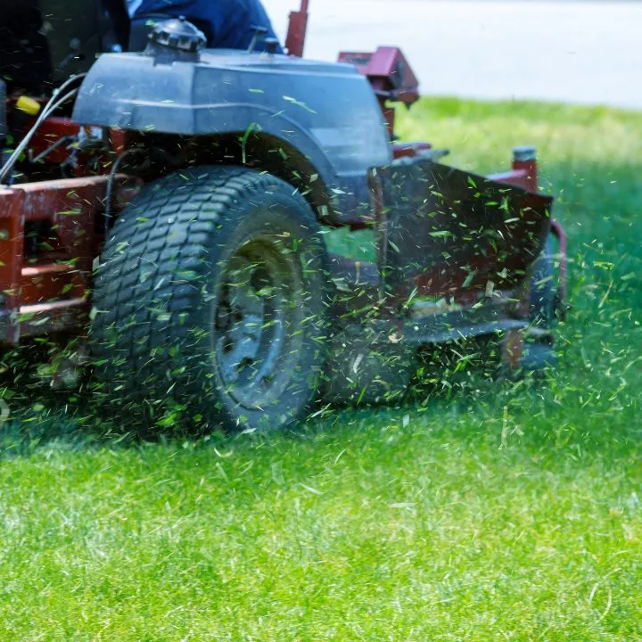 Riding mower cutting grass