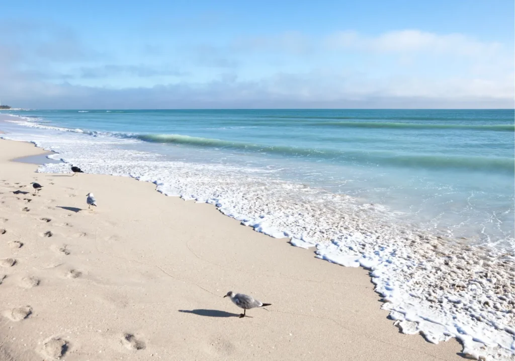 Shoreline of a beach