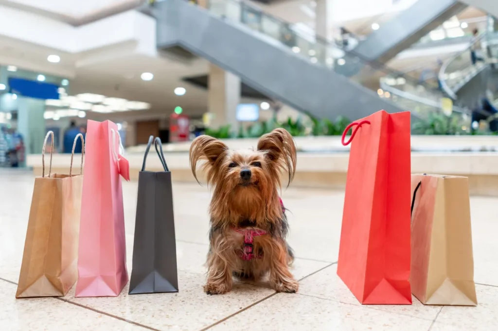 Small dog with shopping bags at a mall