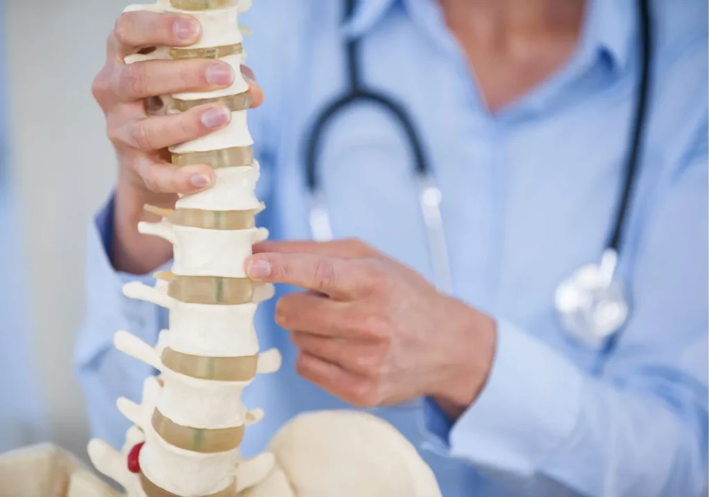 Surgeon looking at spine model
