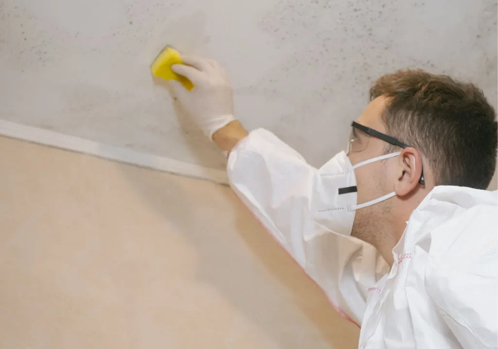 Technician in protective gear inspecting a wall for mold