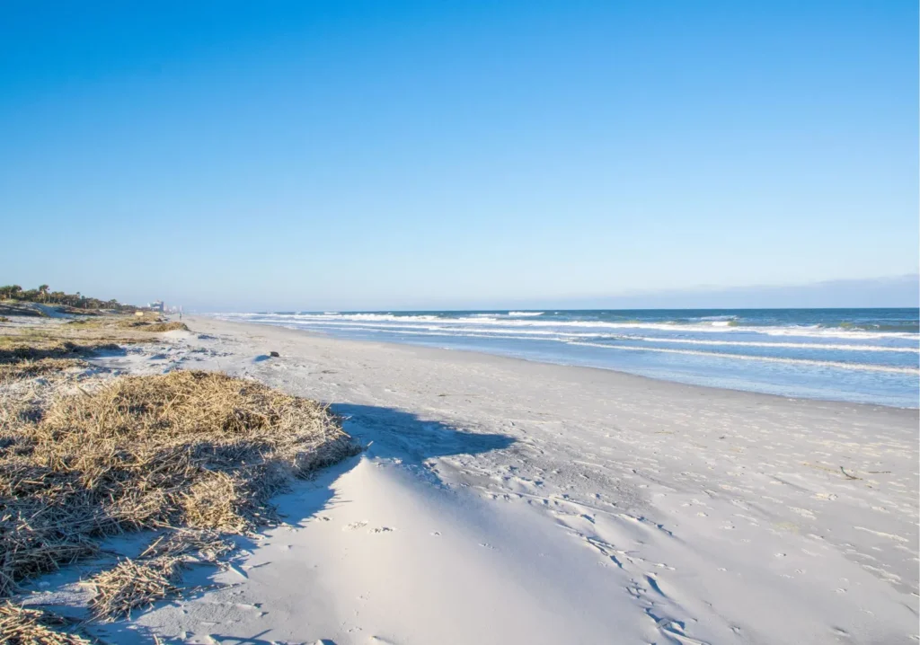 Timing the Naples Real Estate Market: When to List Your Home