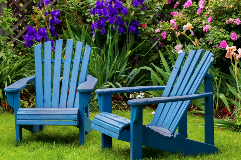 Two chairs in yard