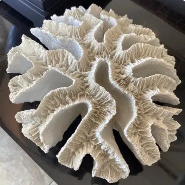 White coral sculpture decor at 41 Home and Garden